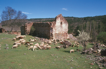 Ruinas de Sacedoncillo
