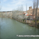 Trillo