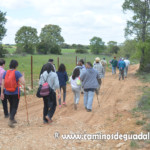 XIII Marcha de las Flores.- Villaescusa de Palositos
