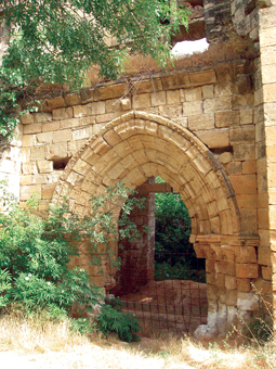 Ruinas del Monasterio de Bonaval