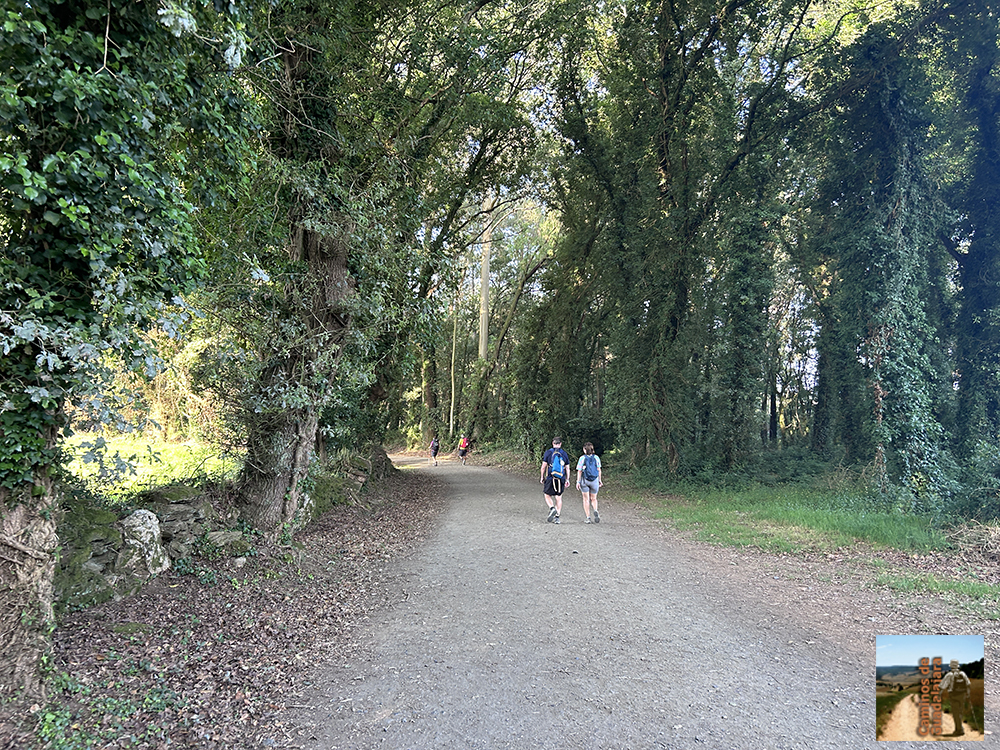 En el camino En el camino