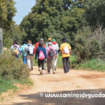 XIII Marcha de las Flores.- Villaescusa de Palositos