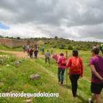 XIII Marcha de las Flores.- Villaescusa de Palositos