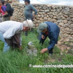 XIII Marcha de las Flores.- Villaescusa de Palositos