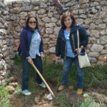 XIII Marcha de las Flores.- Villaescusa de Palositos