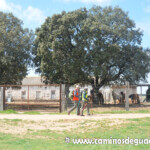 XIII Marcha de las Flores.- Villaescusa de Palositos