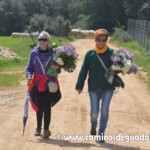 XIII Marcha de las Flores.- Villaescusa de Palositos