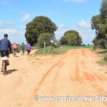 XIII Marcha de las Flores.- Villaescusa de Palositos