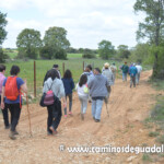 XIII Marcha de las Flores.- Villaescusa de Palositos