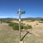 Etapa 2: De Valverde de los Arroyos a Tamajón