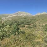 Etapa 2: De Tamajón aValverde de los Arroyos