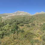 Etapa 2: De Tamajón aValverde de los Arroyos